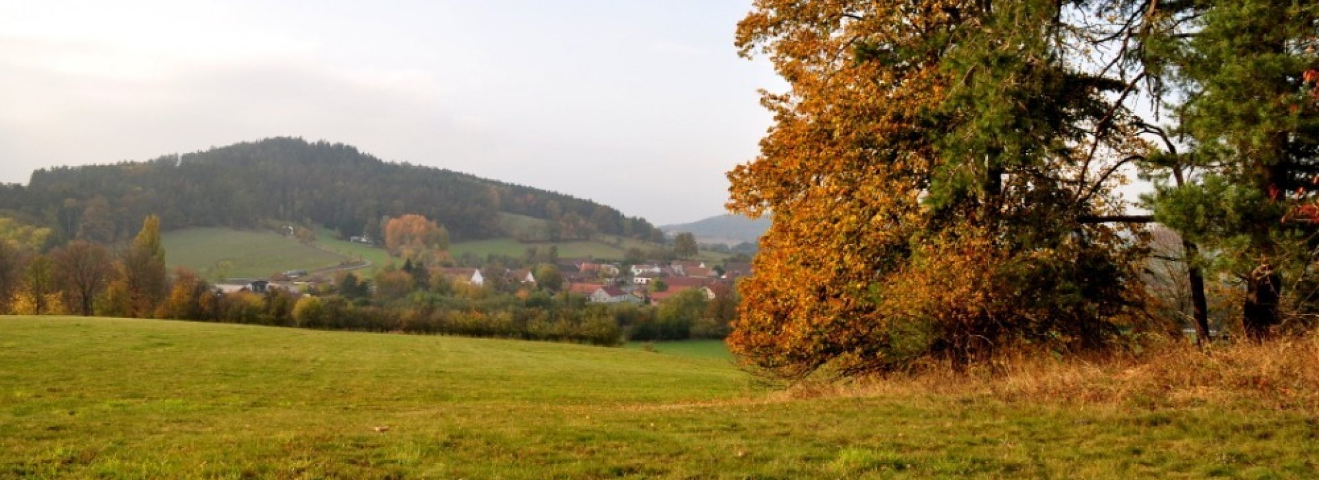 Měnič obrázků - fotografie