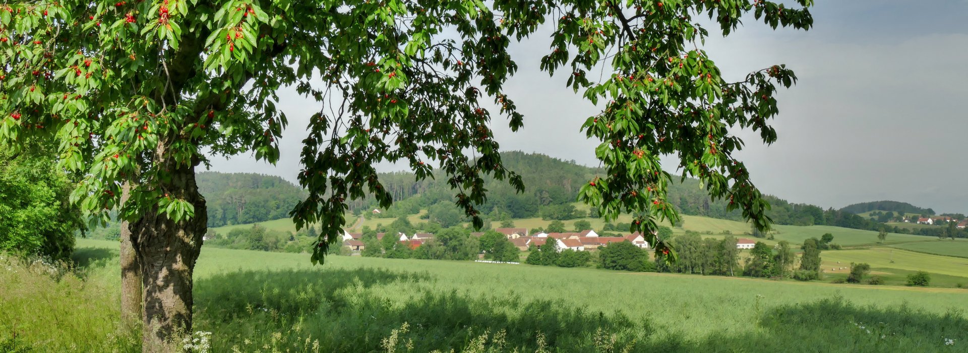 Měnič obrázků - fotografie