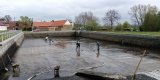 Brigáda 2019